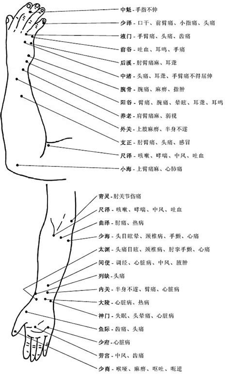 穴位圖